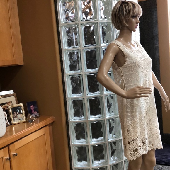 Ella Moss Cream Color embroidered sheer Dress - Picture 4 of 10